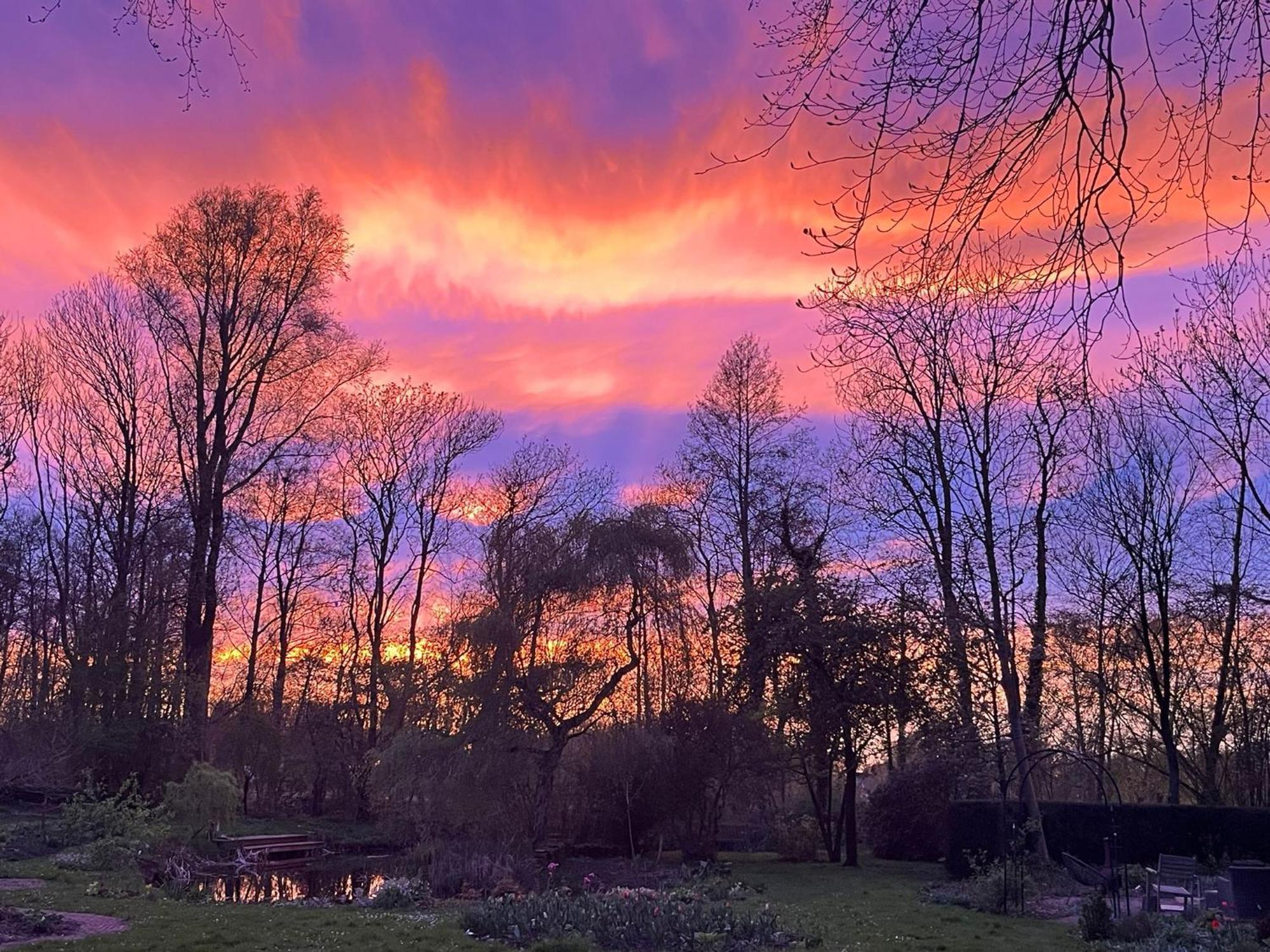 De Consistorie Villa Giethoorn Bagian luar foto